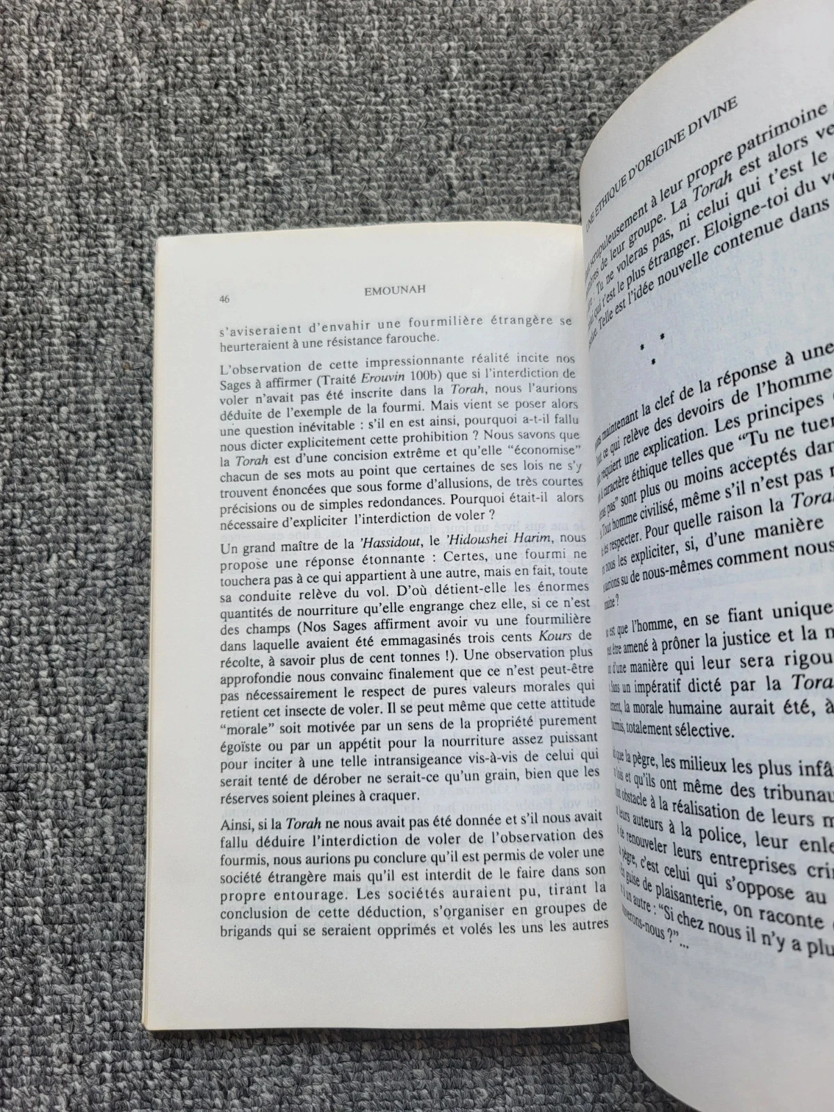 Livre Emounah n° 14 : Pensamento judeu, Torá, Judaísmo (Rabino Abdallah Somekh) - Raro – photo 2